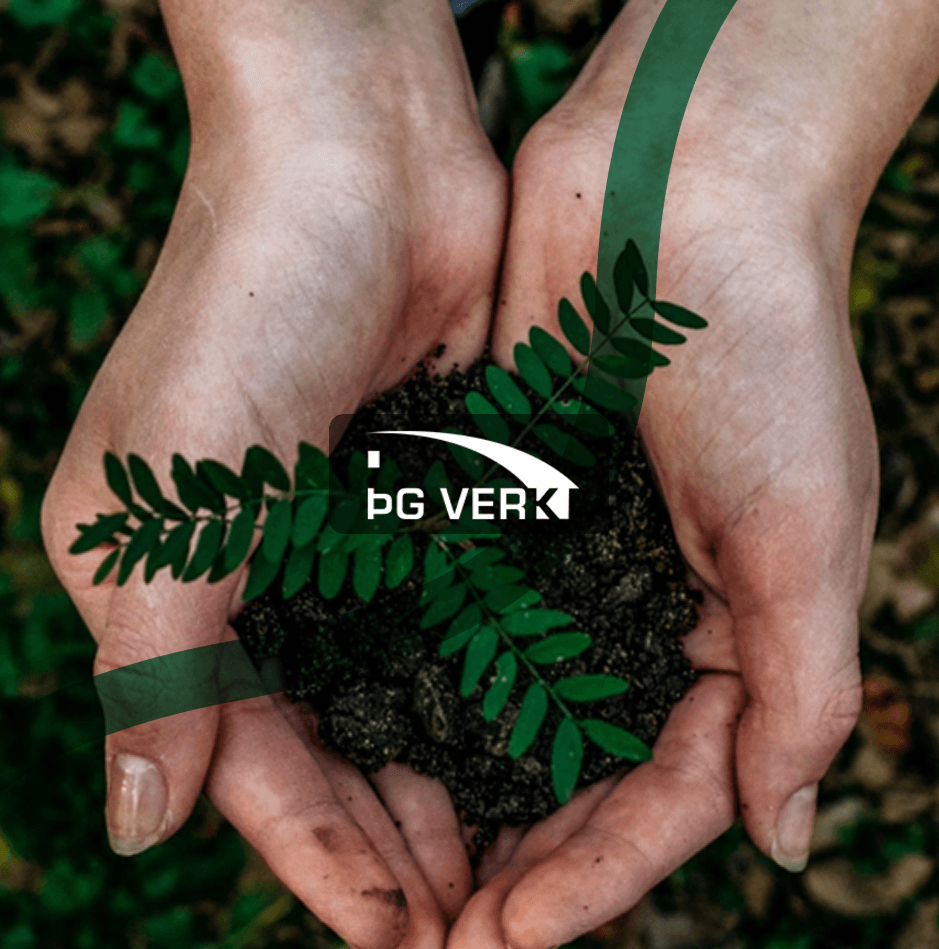 nature-seedling-tg-verk