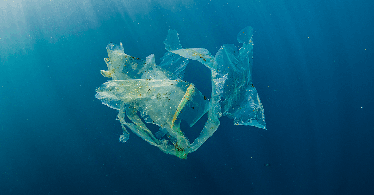 posts--new-waste-interface-and-insights