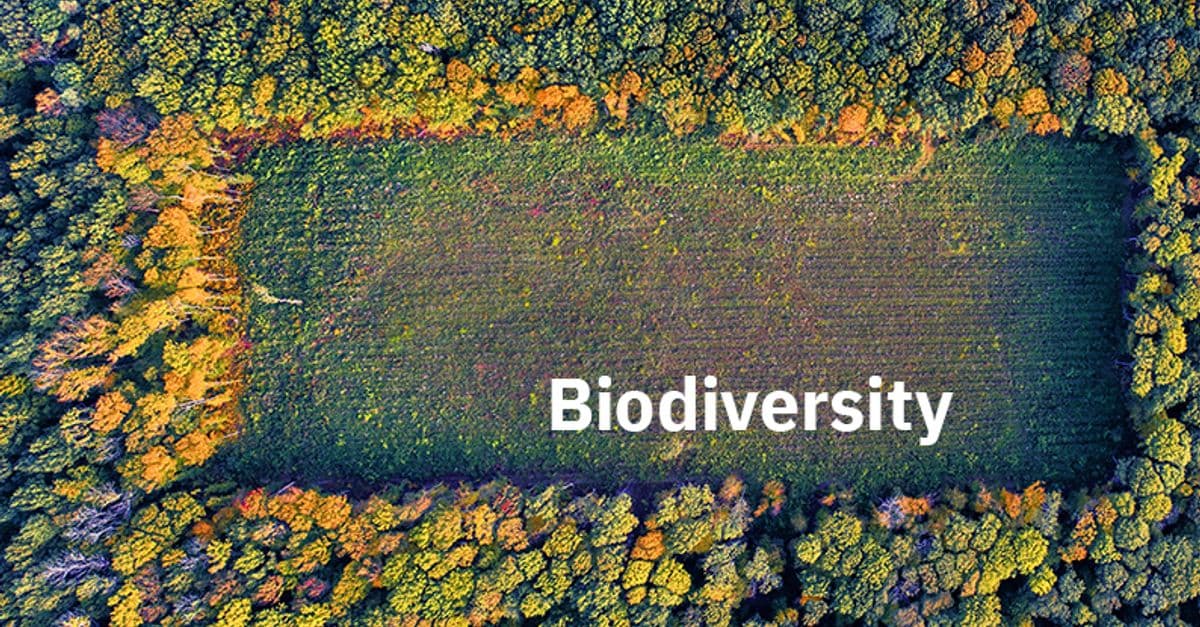 posts--understanding-biodiversity-data