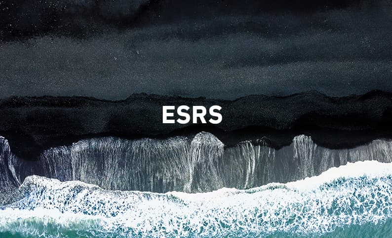 what-are-the-esrs-standards