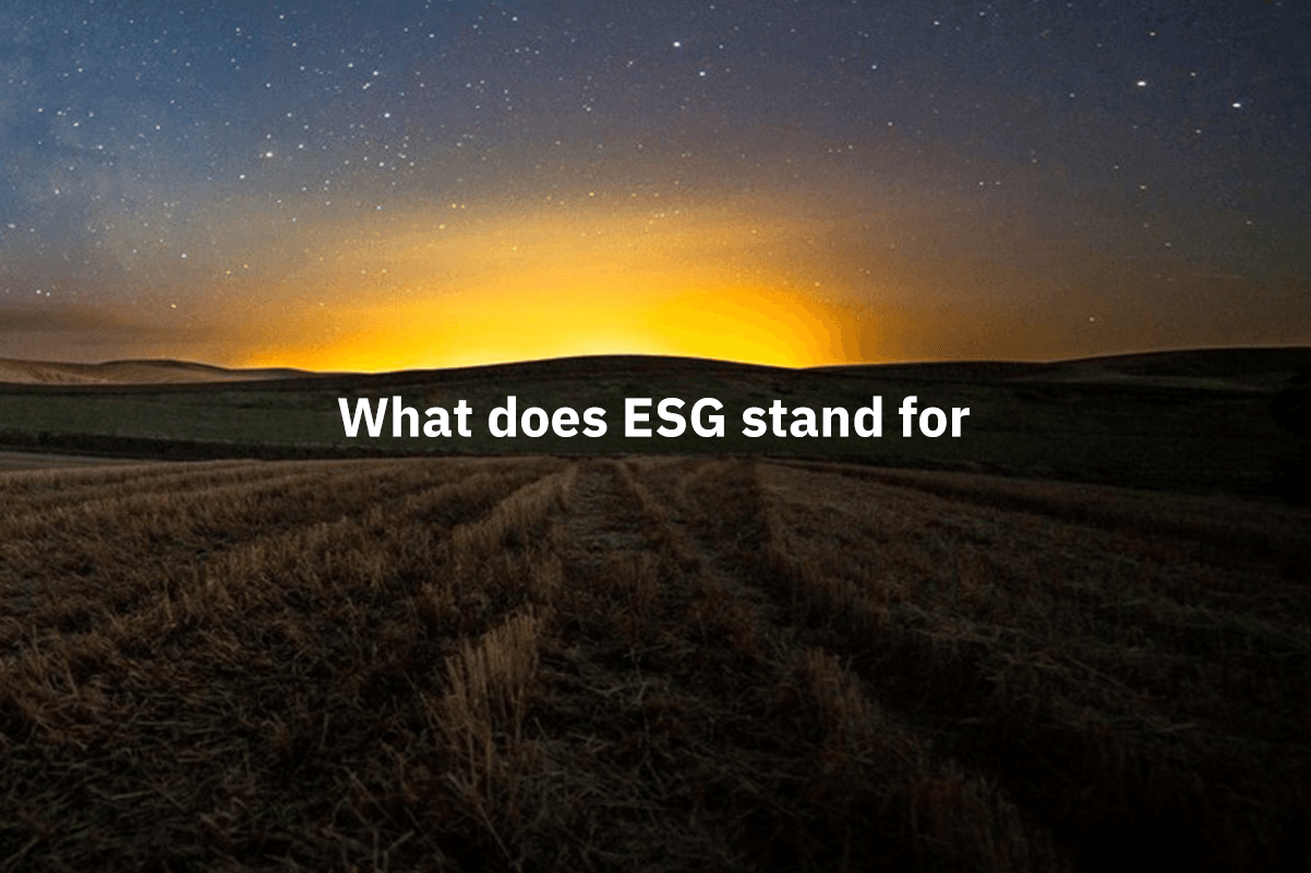what-does-esg-stand-for