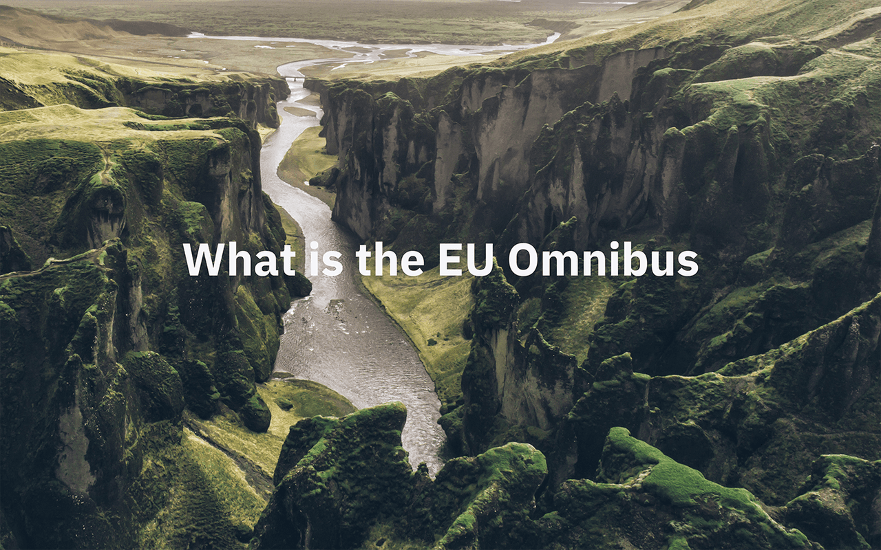 what-is-the-eu-omnibus