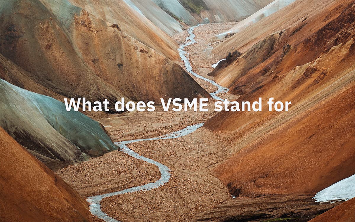 what-is-vsme